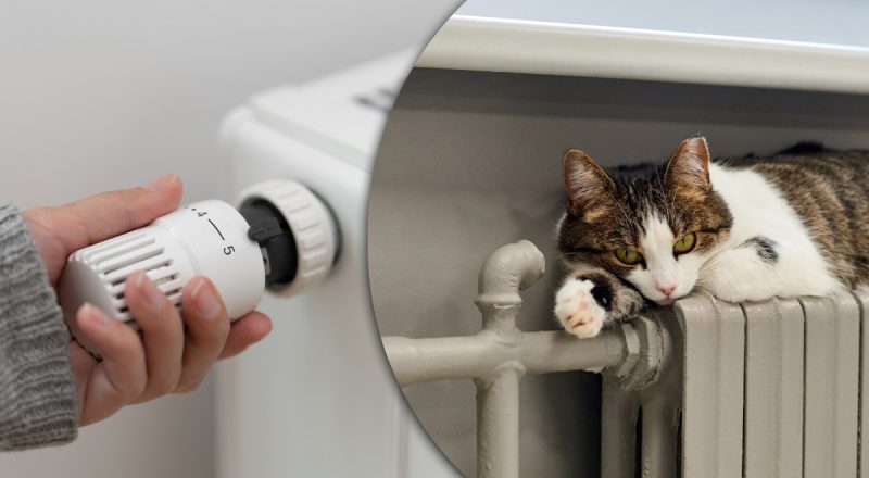 Ризик відключення опалення: українців попередили про загрозу евакуації з міст