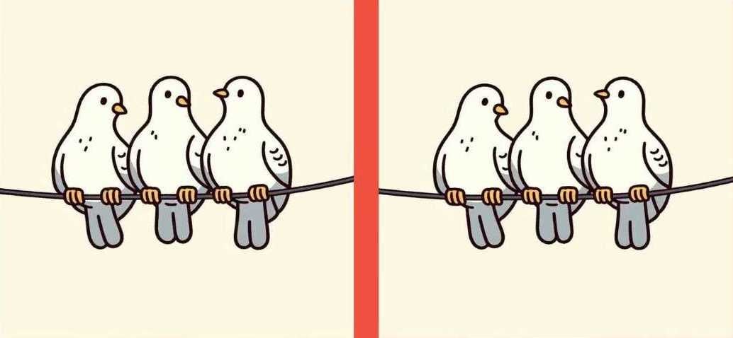 Загадка Загадка