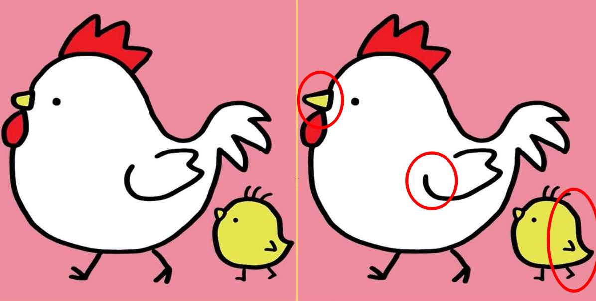 Загадка Загадка