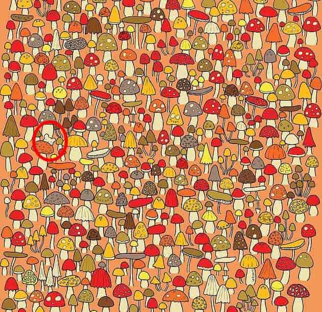 Головоломка Головоломка