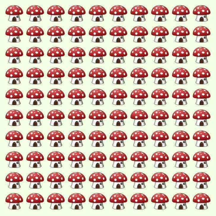 головоломка, гриб