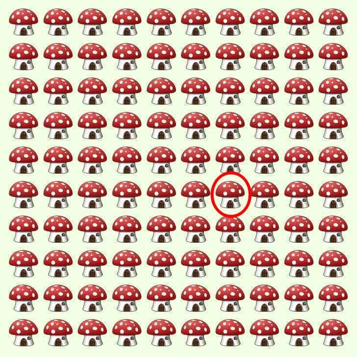 головоломка, гриб