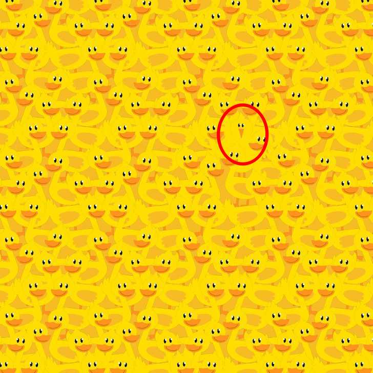 головоломка, курка головоломка, курка