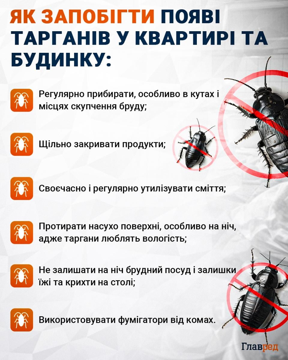 Ефективний засіб чи міф: чи може звичайна сода знищити тарганів Ефективний засіб чи міф: чи може звичайна сода знищити тарганів