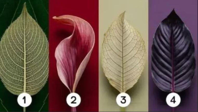 Тест по картинці - обрати листочок