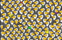 Ребус для тих, у кого чудовий зір: треба за 5 секунд знайти пінгвіна