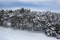 Сильний вітер, дощі та сніг: в Україні погіршується погода