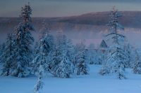 В Украину идет похолодание: синоптики объявили штормовое предупреждение