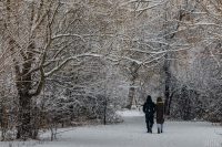 Мокрий сніг, дощі та штормовий вітер: названо область, де буде дуже холодно