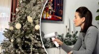 Навіщо відпарювати штучну ялинку: геніальний лайфхак підірвав Мережу