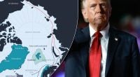 У НАТО запропонують Трампу план щодо Гренландії: ЗМІ дізналися деталі