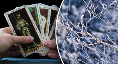 Гороскоп Таро на неделю