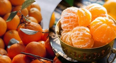 мандарин мандарин