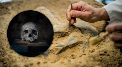 археолог археолог