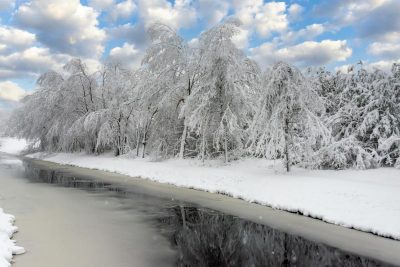 погода погода