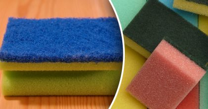 Найбрудніша річ у домі: хитрий трюк, як швидко відмити одну річ на кухні