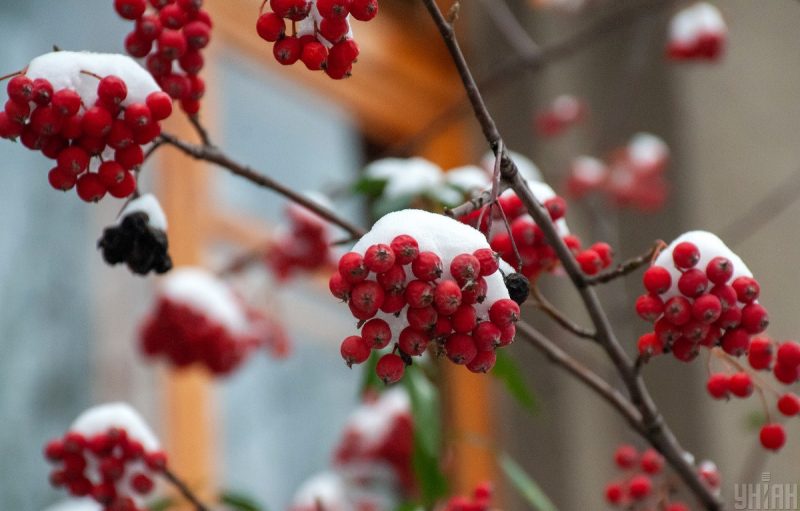 В Украину придет потепление: синоптик назвала даты