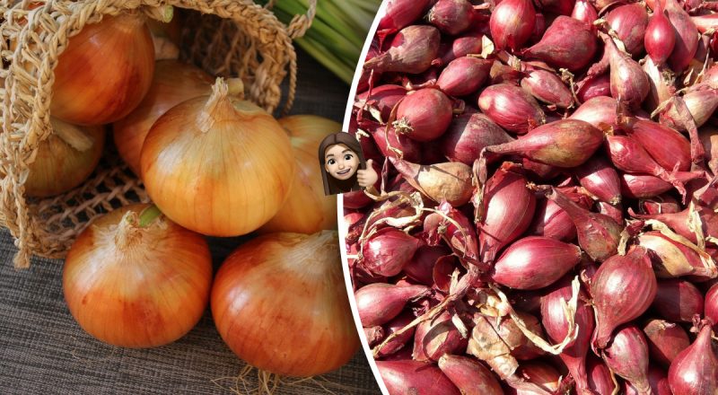 Что положить к луку, чтобы он не испортился: малоизвестный лайфхак