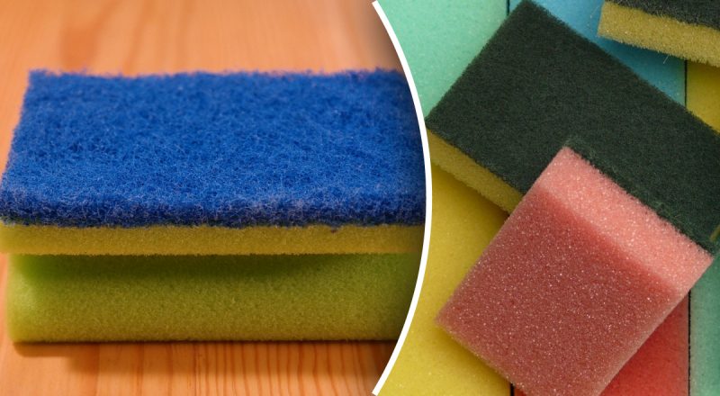 Самая грязная вещь в доме: хитрый трюк, как быстро отмыть один предмет на кухне