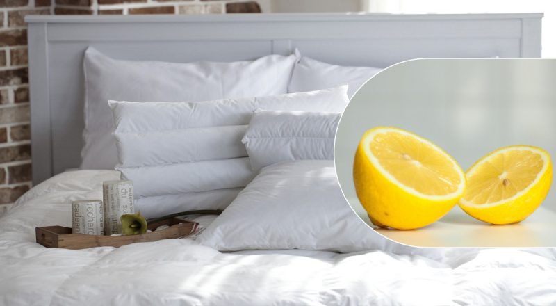 Стиралка не потребуется: как удалить пятна с подушек за 30 минут