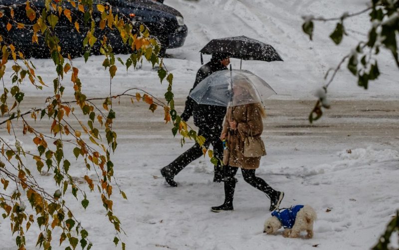 Мокрый снег накроет Украину: в каких областях будут сильные осадки