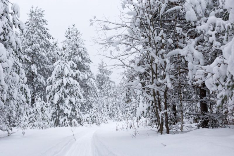 Когда в Украину придет сильное похолодание: синоптик назвала даты