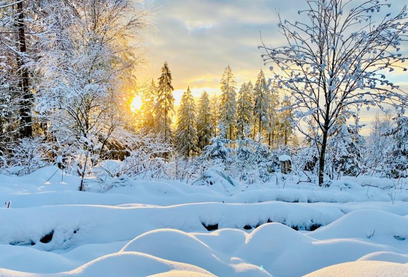 Україну накриє мокрий сніг: синоптикиня назвала дату