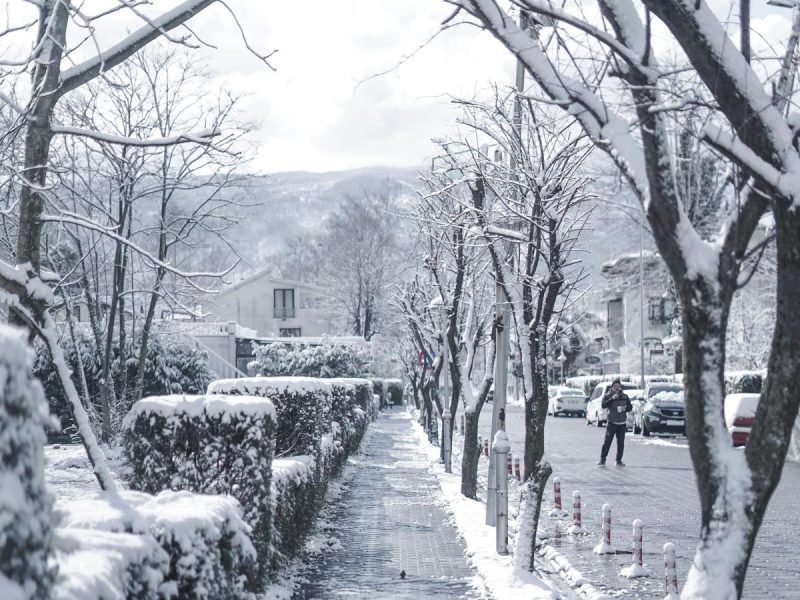 Украину резко атакует тепло: где будет сыпать снег, а где будут лить дожди