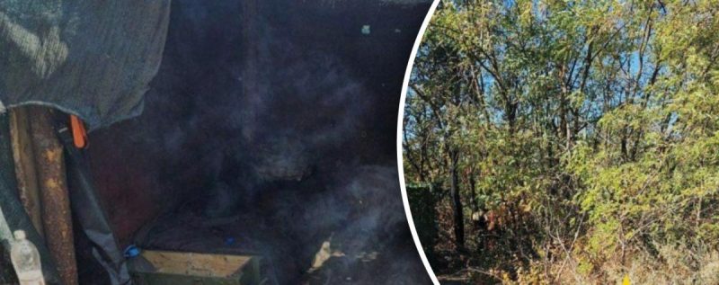 Партизаны помешали наступлению россиян на Запорожскую область: детали