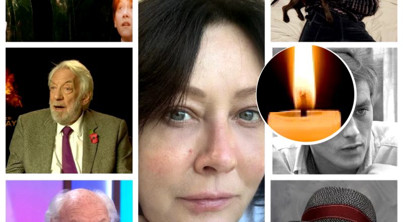 Хто із зірок помер у 2024 році: кого втратив світ