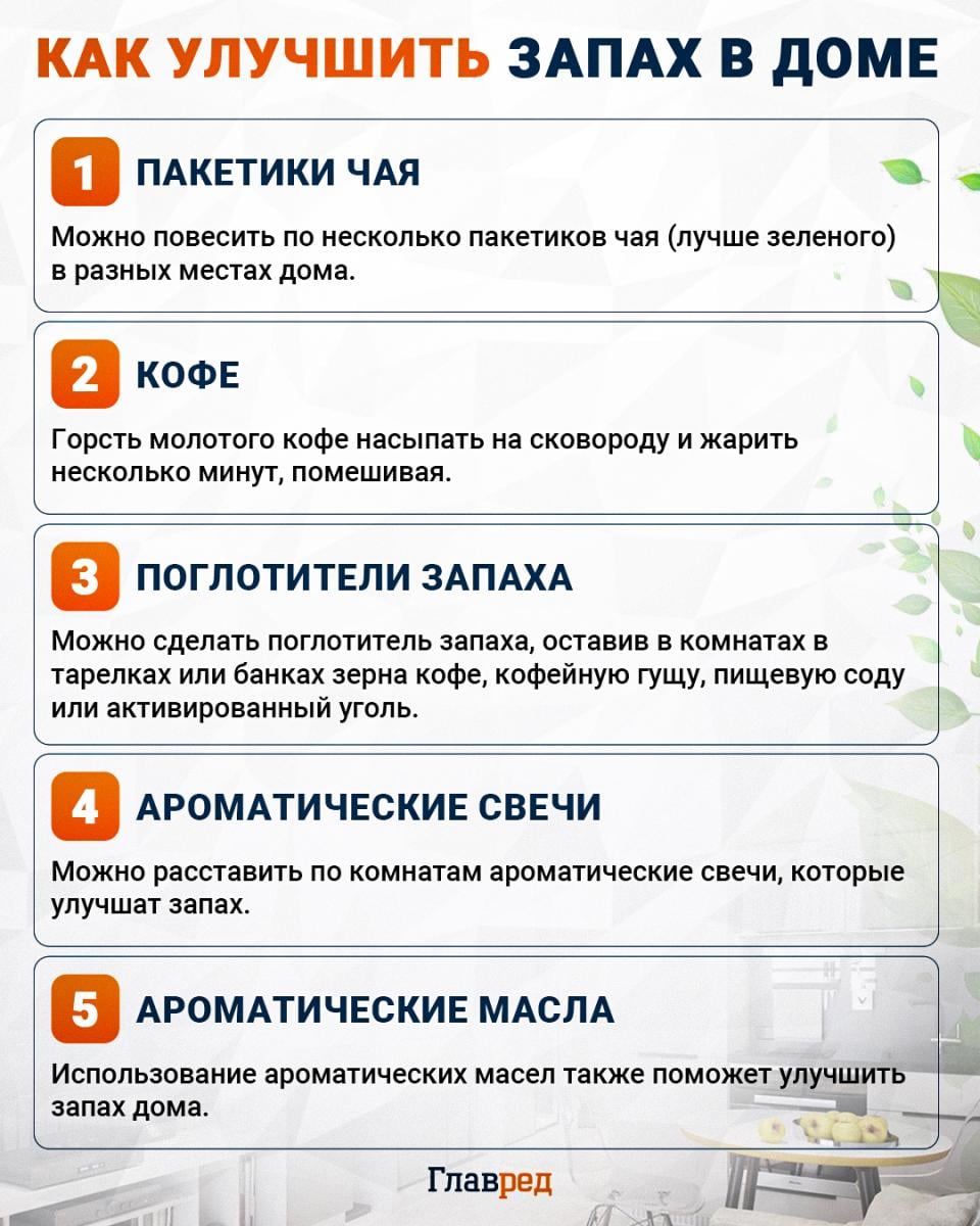 Как улучшить запах в доме инфографика