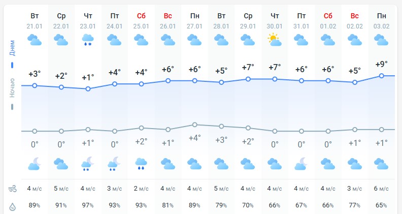 погода 22 января 