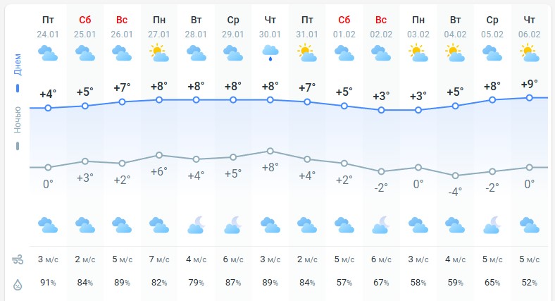 погода 25 января 