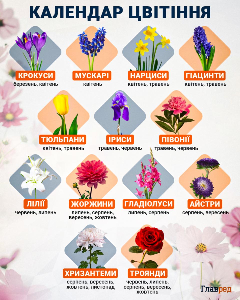 Календар цвітіння Календар цвітіння
