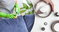 Лучше любого клининга: как почистить диван содой, лайфхак взорвал Сеть