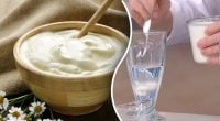 Как за минуту отличить натуральную сметану от подделки: на что смотреть