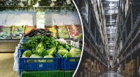Чому в супермаркетах немає вікон - професор пояснив дивний факт