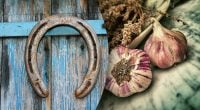 Не тільки підкова: найсильніші обереги для дому від сімейних негараздів