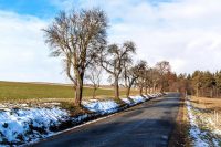 Аномальна теплота накриває Україну: до яких градусів підвищиться температура