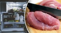Меньше, чем все думают: сколько можно хранить мясо утки в холодильнике