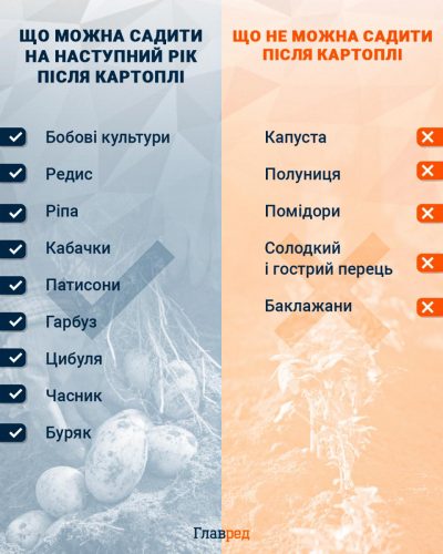 Сусіди будуть заздрити урожаю: що потрібно посадити поруч із капустою Сусіди будуть заздрити урожаю: що потрібно посадити поруч із капустою