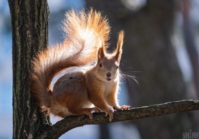 Погода, тепло