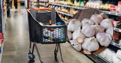 В 250 гривень вже не вкластись: в Україні дорожчає популярний овоч