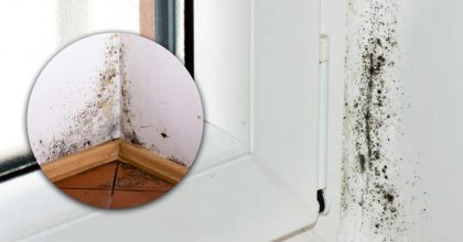 Про хімію можна забути: простий натуральний засіб знищує цвіль миттєво