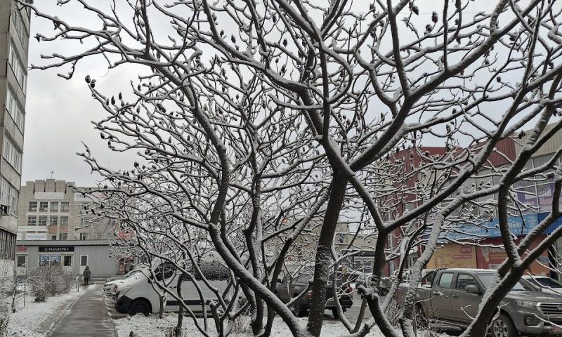 В Україні буде сніг, а потім почнеться відлига: температура підвищиться до +17