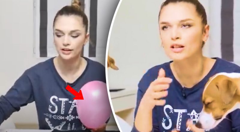 Лайфхаки, как убрать шерсть с одежды: какие из них действуют, а какие - ерунда