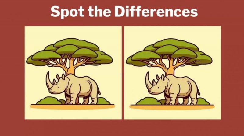 Проверьте внимательность: найдите различия в картинках с носорогами за 11 сек