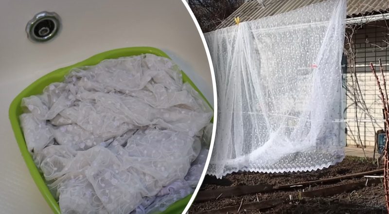 Как отбелить тюль в домашних условиях быстро и эффективно: впечатляющий метод