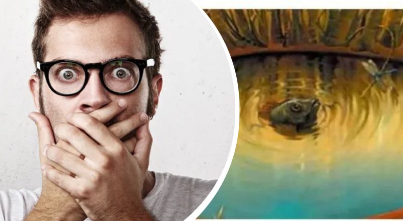 Что увидели на картинке первым: оптическая иллюзия, которая стала хитом в TikTok