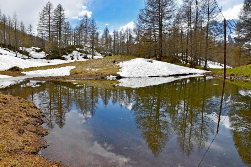В Україну суне аномальне потепління: скоро влупить +20 градусів